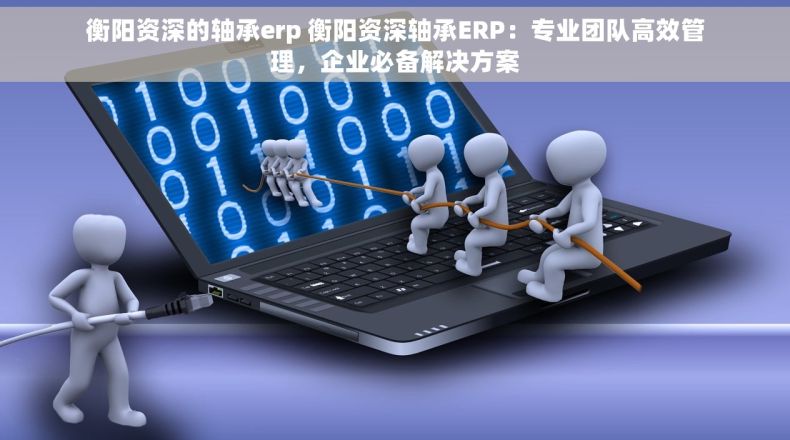 衡阳资深的轴承erp 衡阳资深轴承ERP：专业团队高效管理，企业必备解决方案