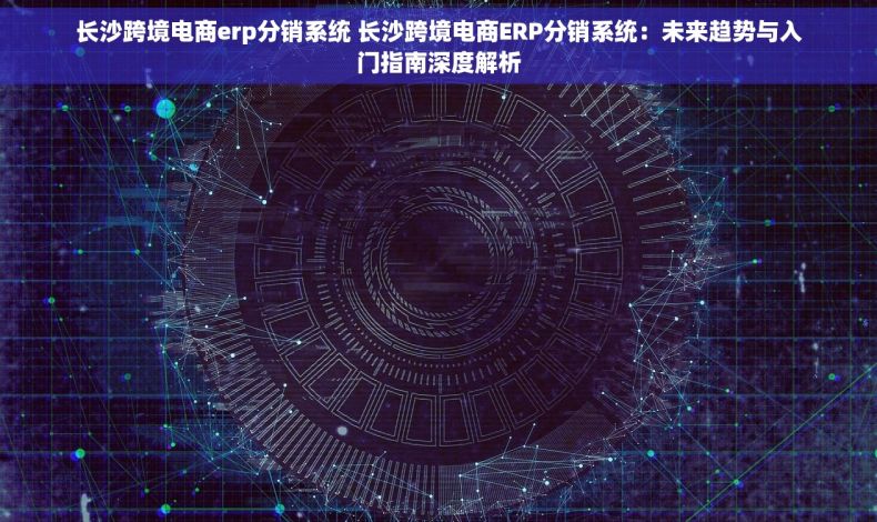 长沙跨境电商erp分销系统 长沙跨境电商ERP分销系统：未来趋势与入门指南深度解析