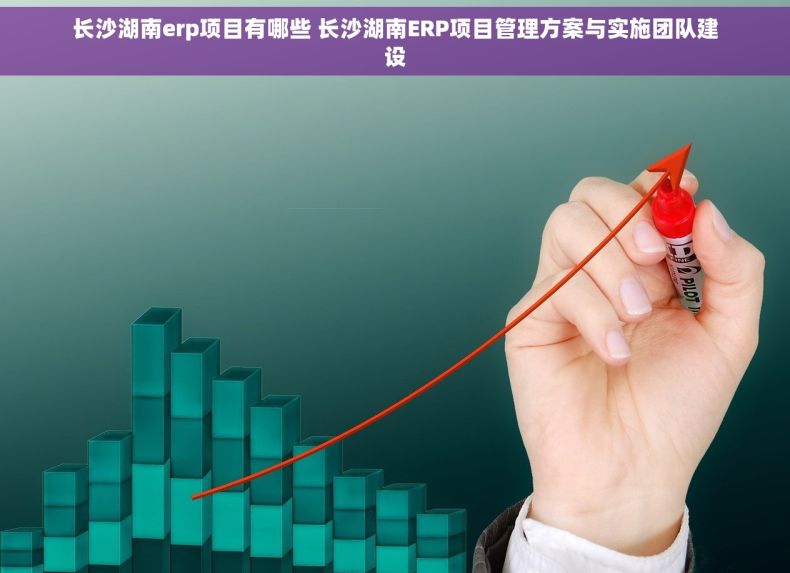 长沙湖南erp项目有哪些 长沙湖南ERP项目管理方案与实施团队建设