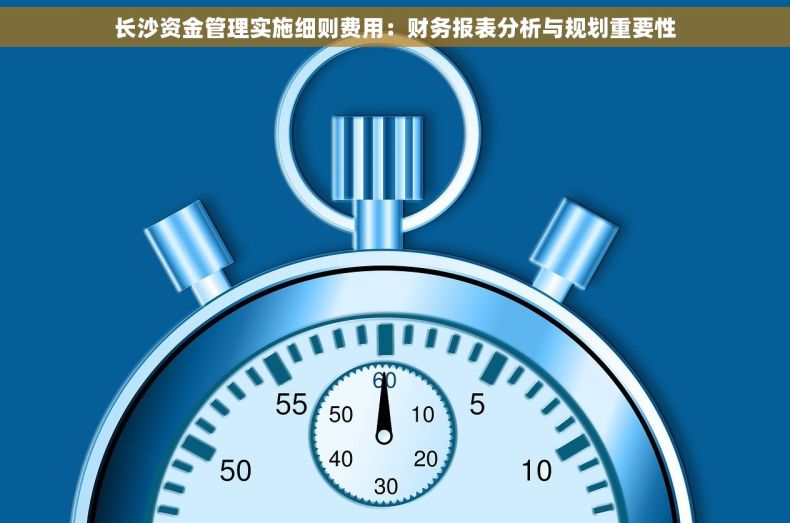 长沙资金管理实施细则费用：财务报表分析与规划重要性