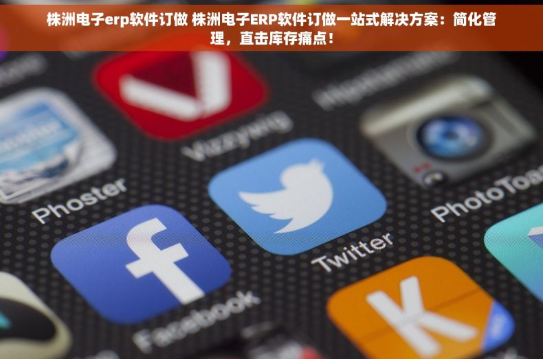 株洲电子erp软件订做 株洲电子ERP软件订做一站式解决方案：简化管理，直击库存痛点！