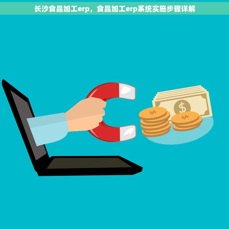 长沙食品加工erp，食品加工erp系统实施步骤详解