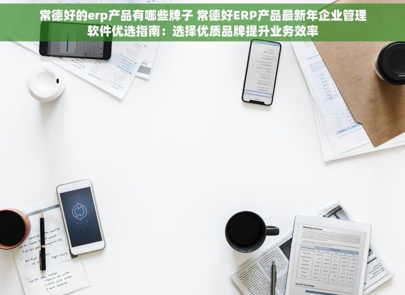 常德好的erp产品有哪些牌子 常德好ERP产品最新年企业管理软件优选指南：选择优质品牌提升业务效率