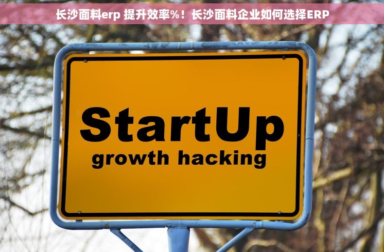 长沙面料erp 提升效率%！长沙面料企业如何选择ERP