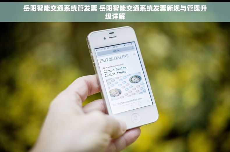 岳阳智能交通系统管发票 岳阳智能交通系统发票新规与管理升级详解