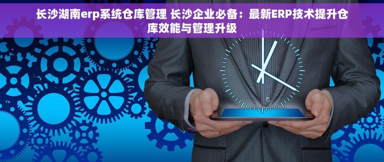 长沙湖南erp系统仓库管理 长沙企业必备：最新ERP技术提升仓库效能与管理升级