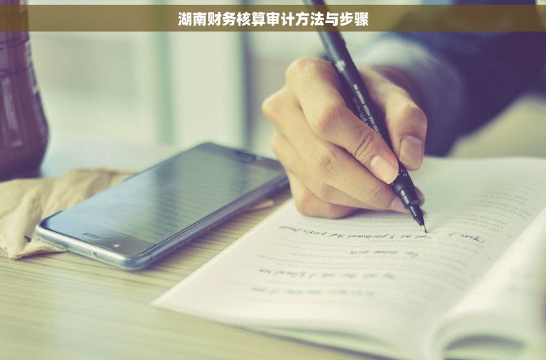 湖南财务核算审计方法与步骤