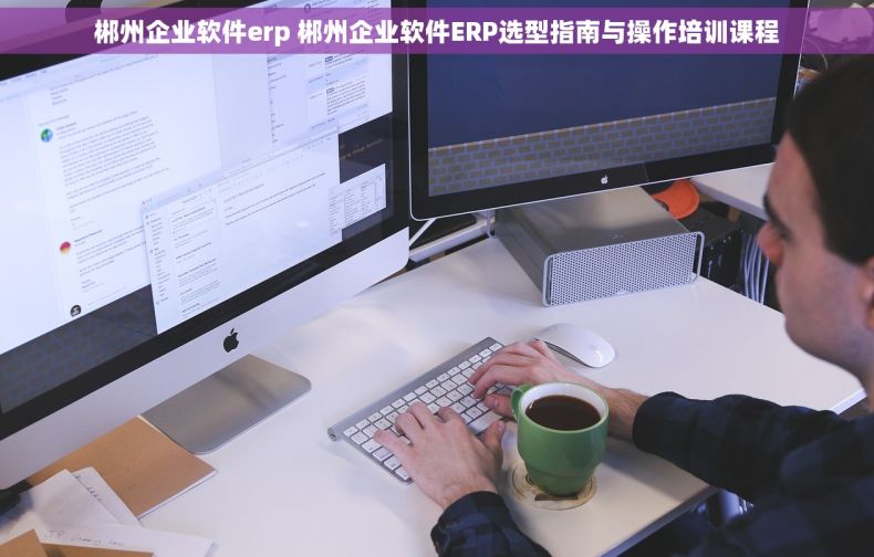 郴州企业软件erp 郴州企业软件ERP选型指南与操作培训课程