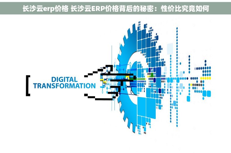 长沙云erp价格 长沙云ERP价格背后的秘密：性价比究竟如何
