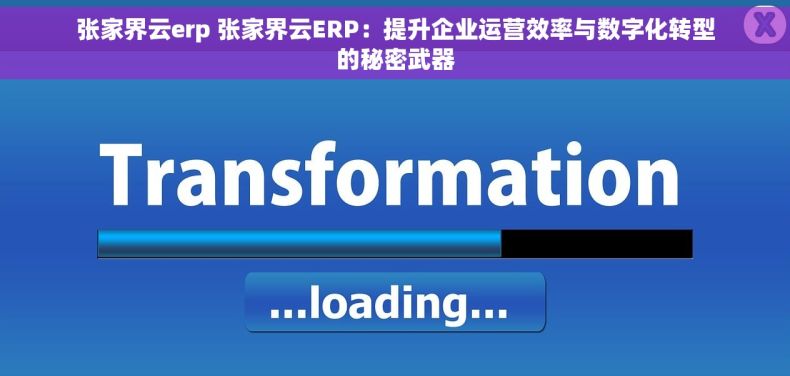 张家界云erp 张家界云ERP：提升企业运营效率与数字化转型的秘密武器