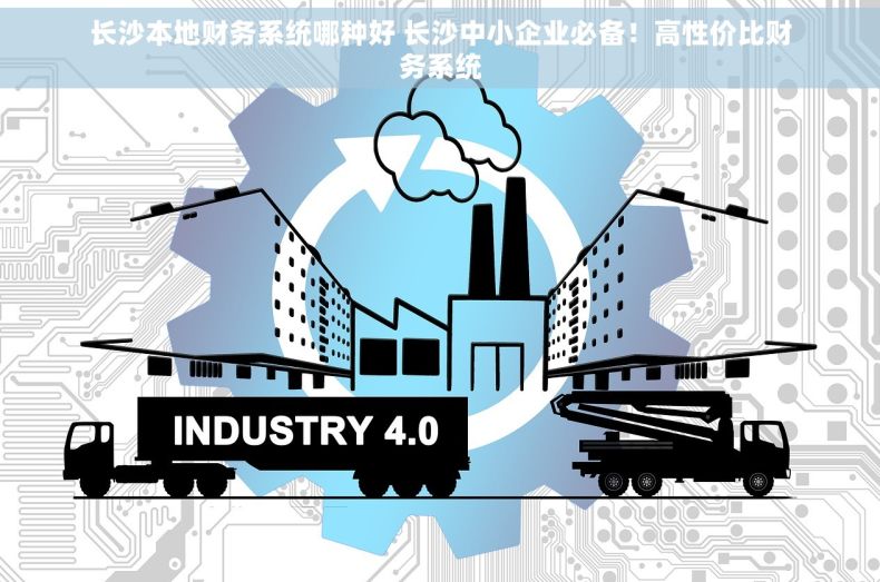 长沙本地财务系统哪种好 长沙中小企业必备！高性价比财务系统