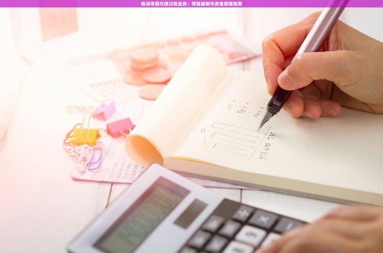 株洲项目代理记账业务：预算编制与资金管理指南