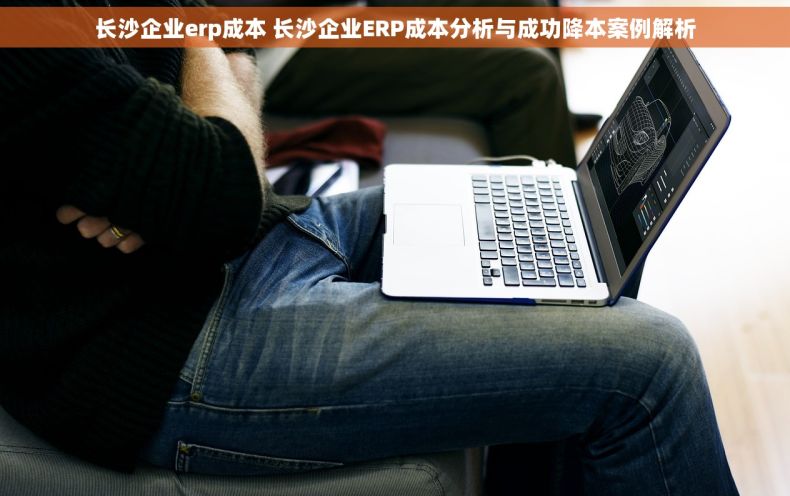 长沙企业erp成本 长沙企业ERP成本分析与成功降本案例解析
