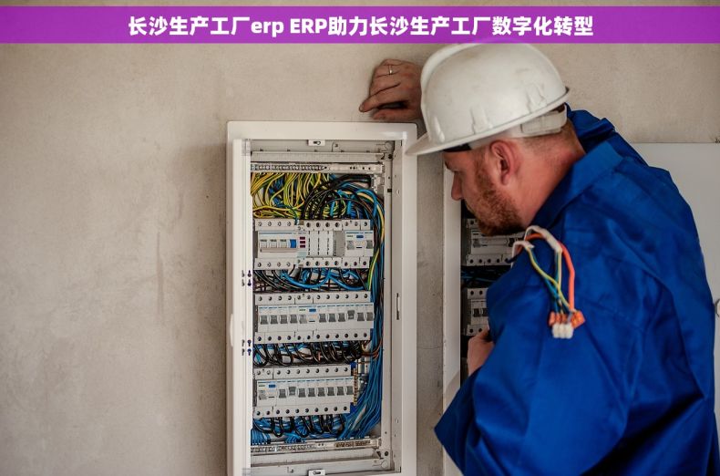 长沙生产工厂erp ERP助力长沙生产工厂数字化转型