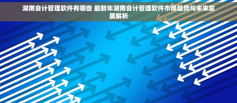 湖南会计管理软件有哪些 最新年湖南会计管理软件市场趋势与未来发展解析