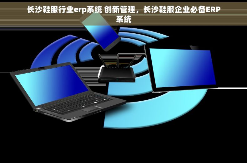 长沙鞋服行业erp系统 创新管理，长沙鞋服企业必备ERP系统