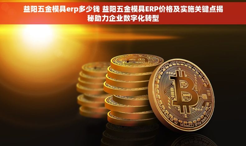 益阳五金模具erp多少钱 益阳五金模具ERP价格及实施关键点揭秘助力企业数字化转型