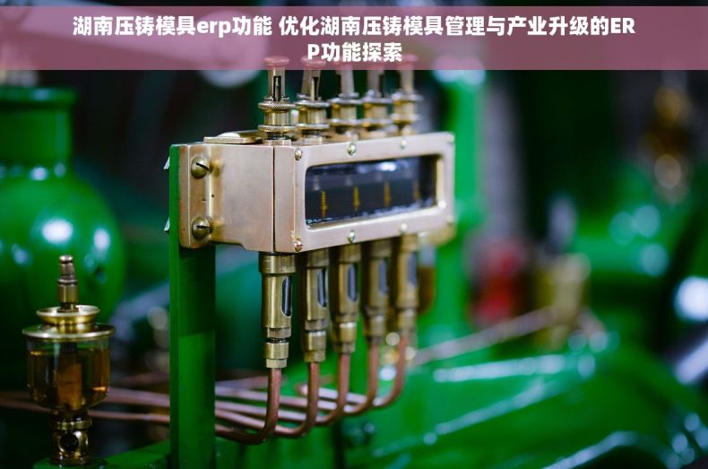 湖南压铸模具erp功能 优化湖南压铸模具管理与产业升级的ERP功能探索