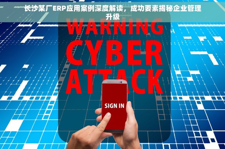 长沙某厂ERP应用案例深度解读，成功要素揭秘企业管理升级