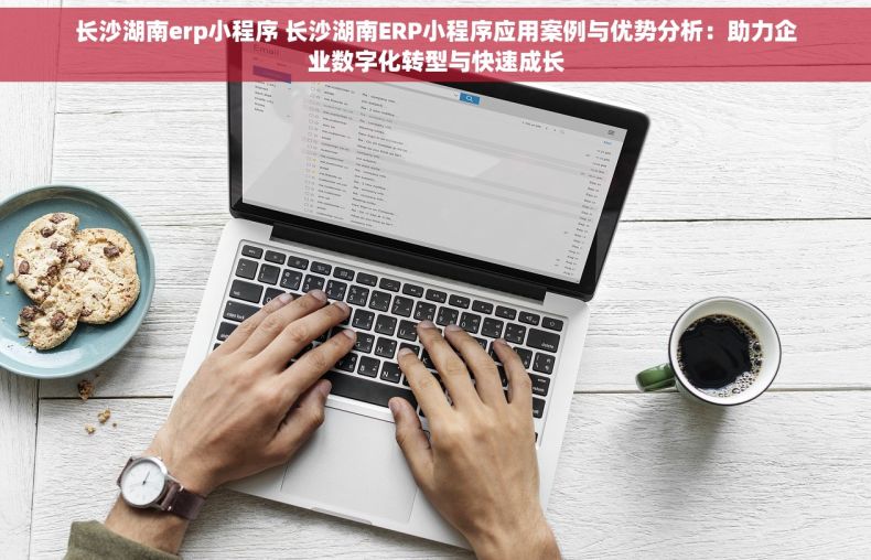 长沙湖南erp小程序 长沙湖南ERP小程序应用案例与优势分析：助力企业数字化转型与快速成长