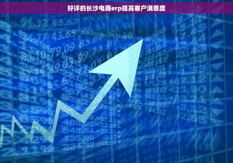 好评的长沙电商erp提高客户满意度