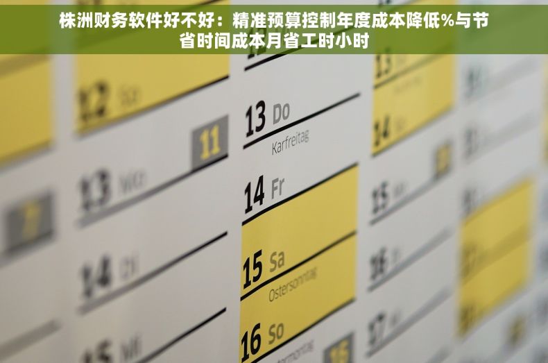 株洲财务软件好不好：精准预算控制年度成本降低%与节省时间成本月省工时小时