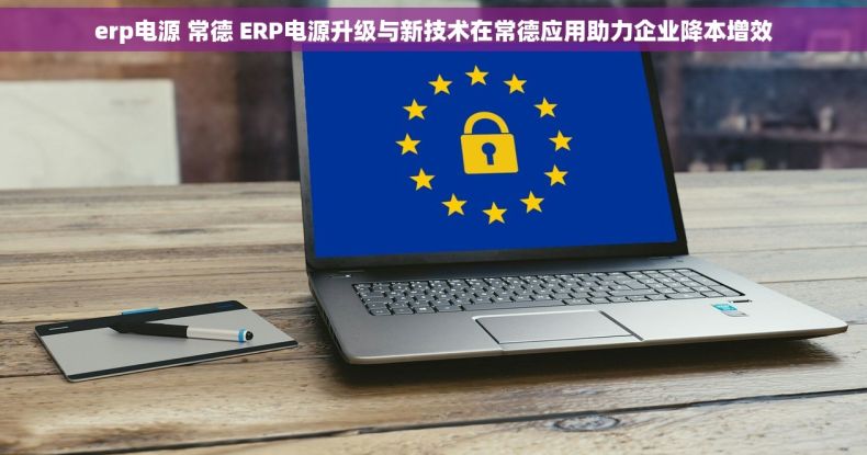 erp电源 常德 ERP电源升级与新技术在常德应用助力企业降本增效