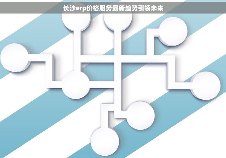 长沙erp价格服务最新趋势引领未来