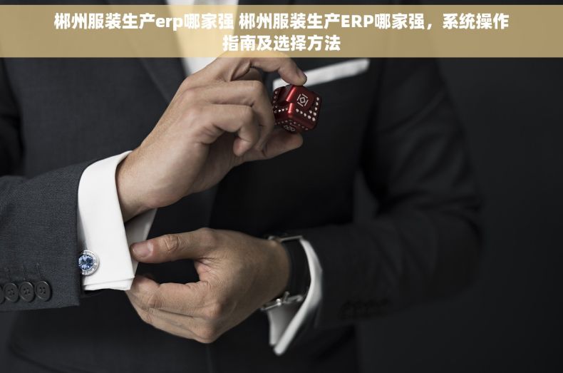 郴州服装生产erp哪家强 郴州服装生产ERP哪家强，系统操作指南及选择方法