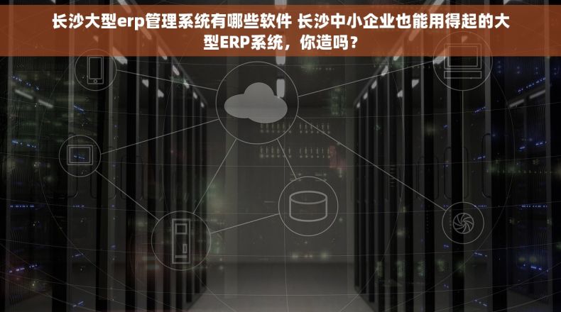 长沙大型erp管理系统有哪些软件 长沙中小企业也能用得起的大型ERP系统，你造吗？