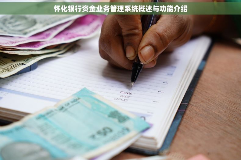 怀化银行资金业务管理系统概述与功能介绍