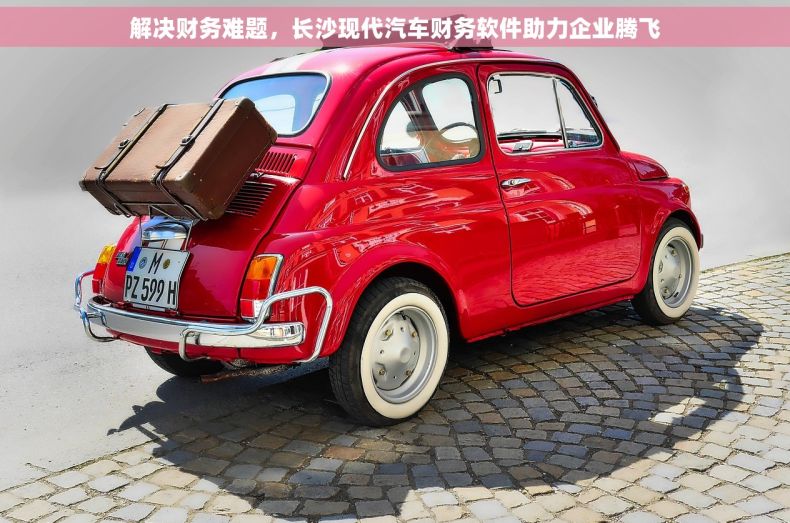 解决财务难题，长沙现代汽车财务软件助力企业腾飞