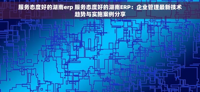 服务态度好的湖南erp 服务态度好的湖南ERP：企业管理最新技术趋势与实施案例分享