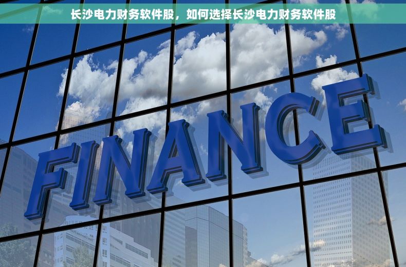 长沙电力财务软件股，如何选择长沙电力财务软件股