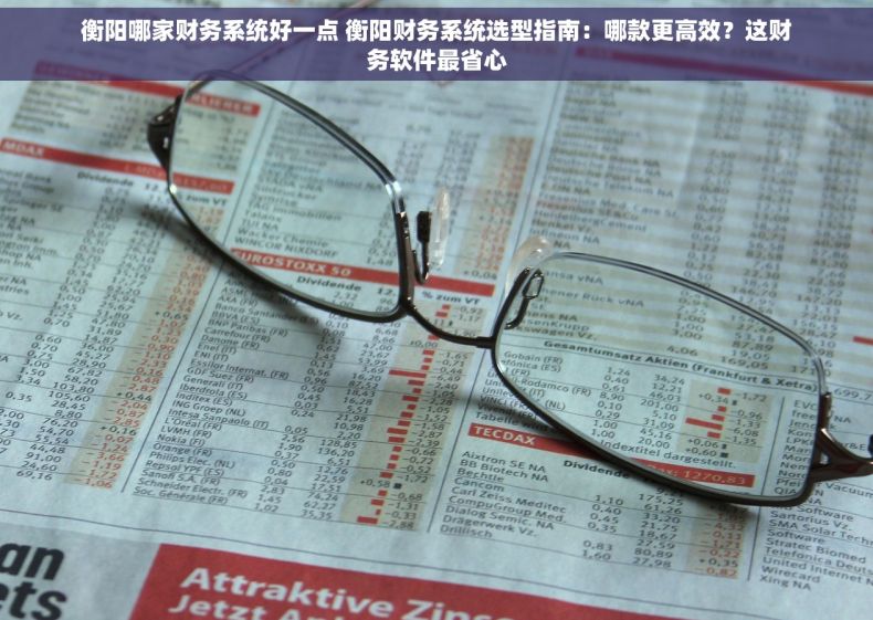 衡阳哪家财务系统好一点 衡阳财务系统选型指南：哪款更高效？这财务软件最省心