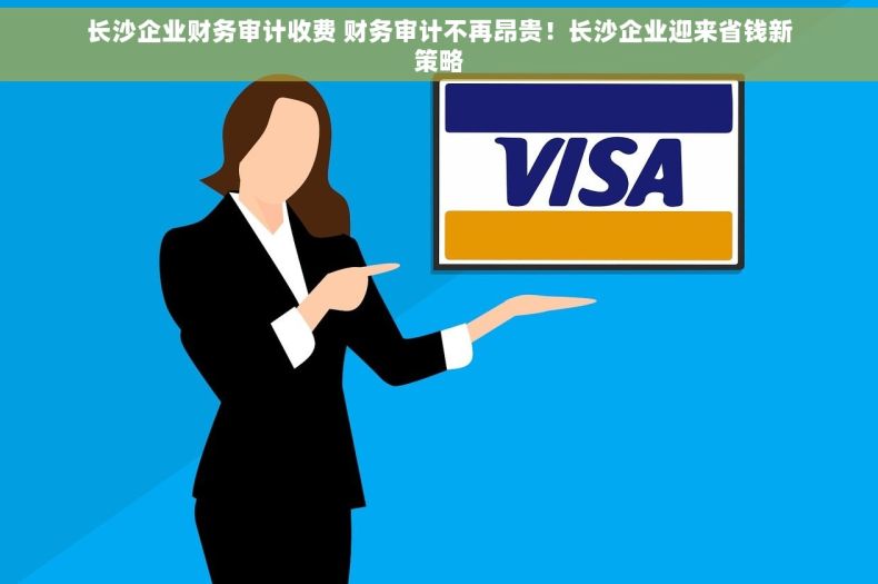 长沙企业财务审计收费 财务审计不再昂贵！长沙企业迎来省钱新策略