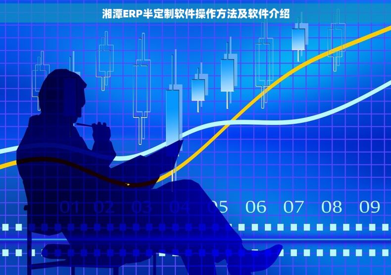 湘潭ERP半定制软件操作方法及软件介绍
