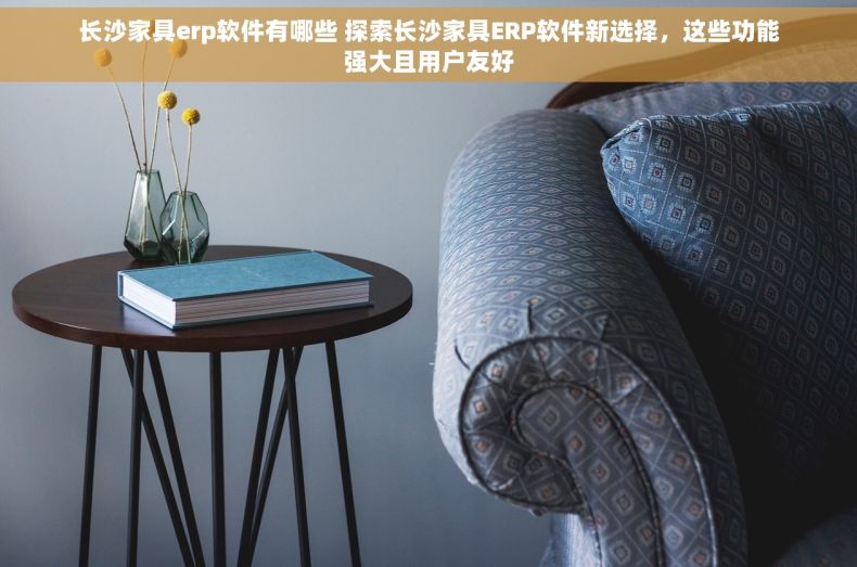长沙家具erp软件有哪些 探索长沙家具ERP软件新选择，这些功能强大且用户友好
