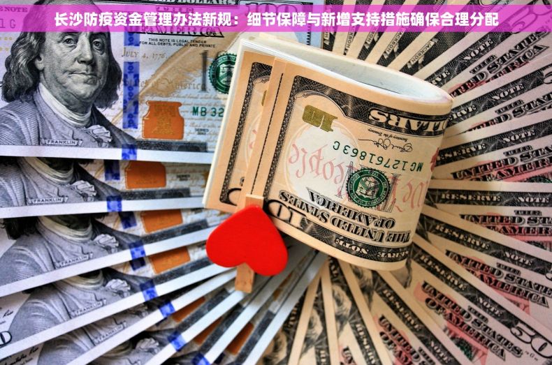 长沙防疫资金管理办法新规：细节保障与新增支持措施确保合理分配