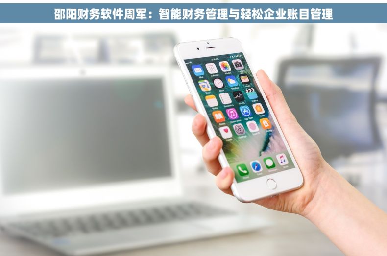 邵阳财务软件周军：智能财务管理与轻松企业账目管理