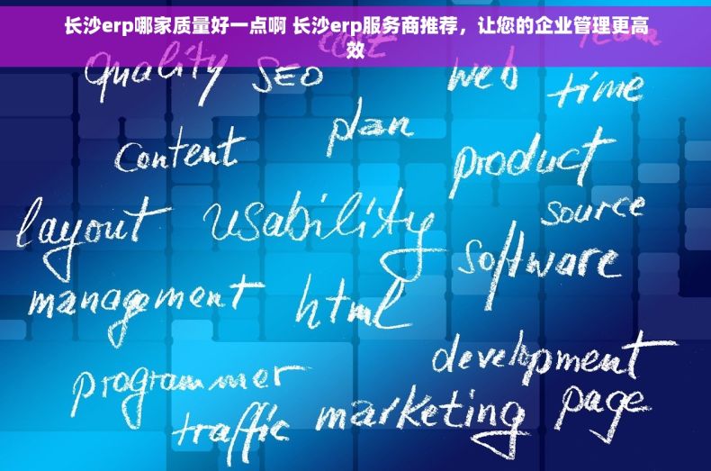 长沙erp哪家质量好一点啊 长沙erp服务商推荐，让您的企业管理更高效