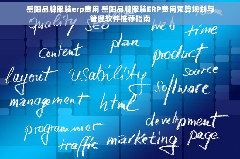 岳阳品牌服装erp费用 岳阳品牌服装ERP费用预算规划与管理软件推荐指南