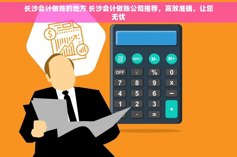 长沙会计做账的地方 长沙会计做账公司推荐，高效准确，让您无忧