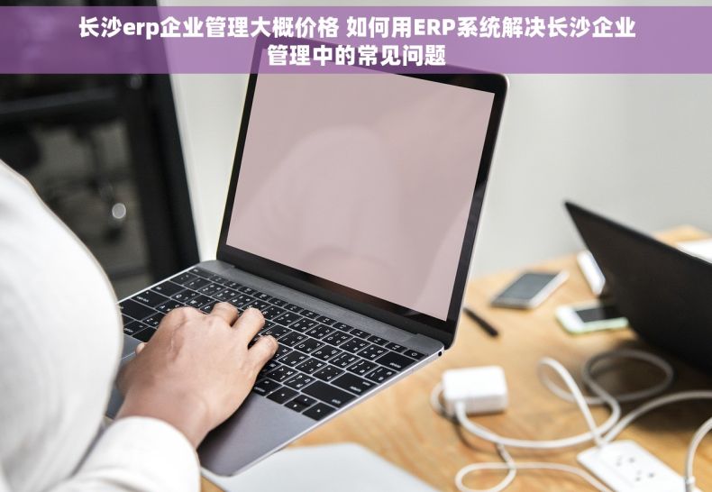 长沙erp企业管理大概价格 如何用ERP系统解决长沙企业管理中的常见问题