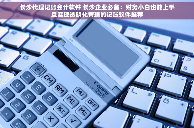 长沙代理记账会计软件 长沙企业必备：财务小白也能上手且实现透明化管理的记账软件推荐