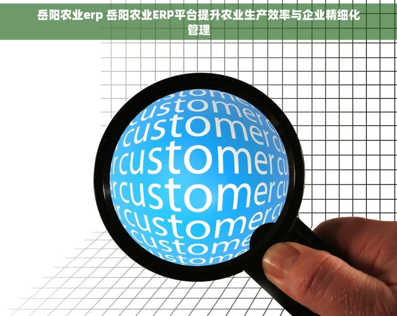岳阳农业erp 岳阳农业ERP平台提升农业生产效率与企业精细化管理
