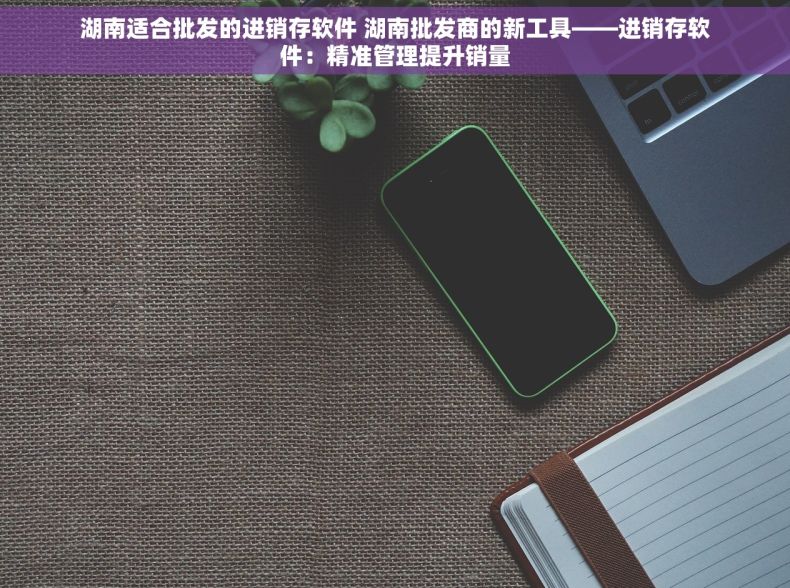 湖南适合批发的进销存软件 湖南批发商的新工具——进销存软件：精准管理提升销量
