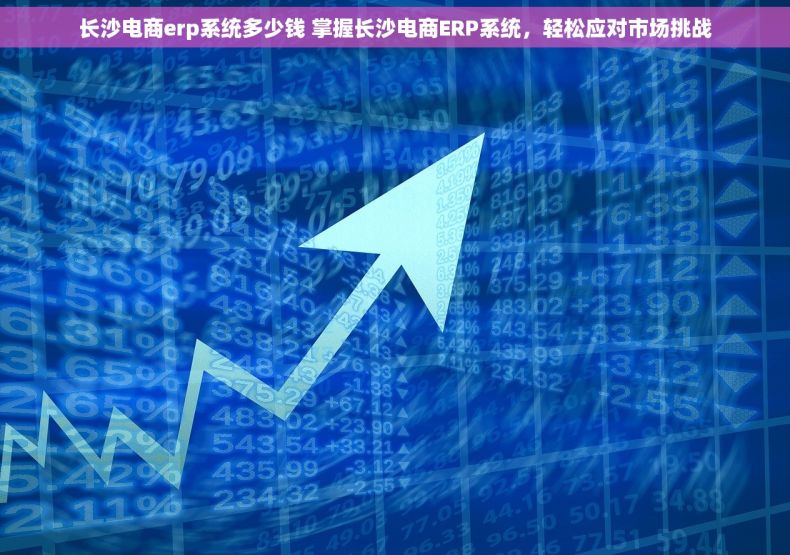 长沙电商erp系统多少钱 掌握长沙电商ERP系统，轻松应对市场挑战