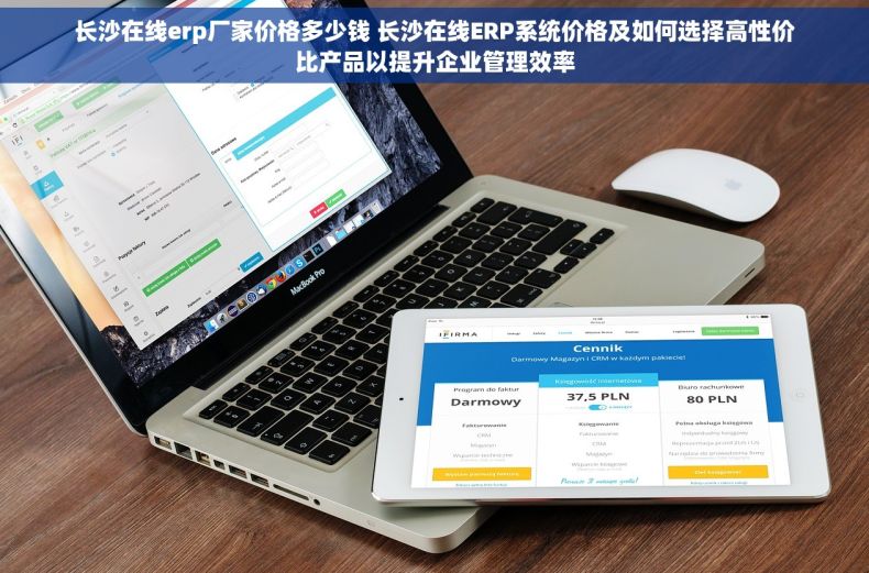 长沙在线erp厂家价格多少钱 长沙在线ERP系统价格及如何选择高性价比产品以提升企业管理效率
