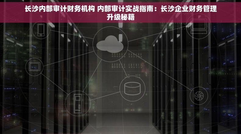 长沙内部审计财务机构 内部审计实战指南：长沙企业财务管理升级秘籍